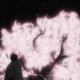 Illustration for article titled iMushi-Shi Zoku Shou/i: The iAni-TAY/i Review